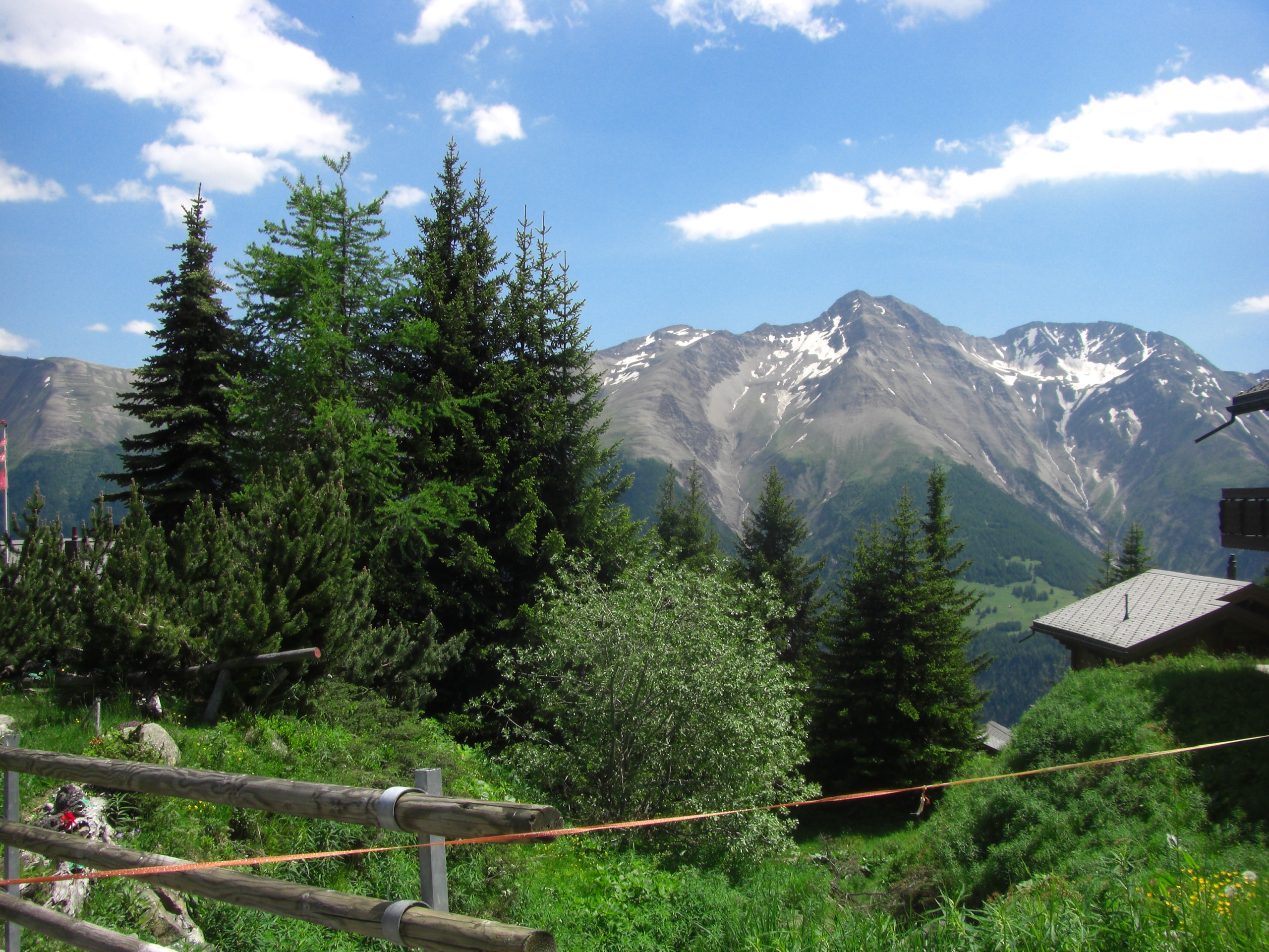 332984_R_K_B_by_zaubervogel_pixelio.de